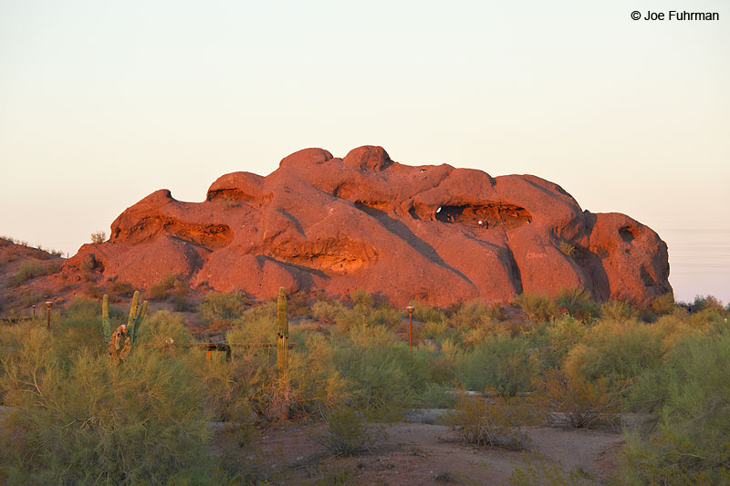 Papago Park-Hole In The Rock Phoenix, AZ Aug. 2014