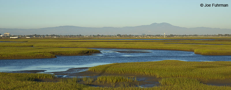 Los Alamitos BayLong Beach, CA Aug. 2014