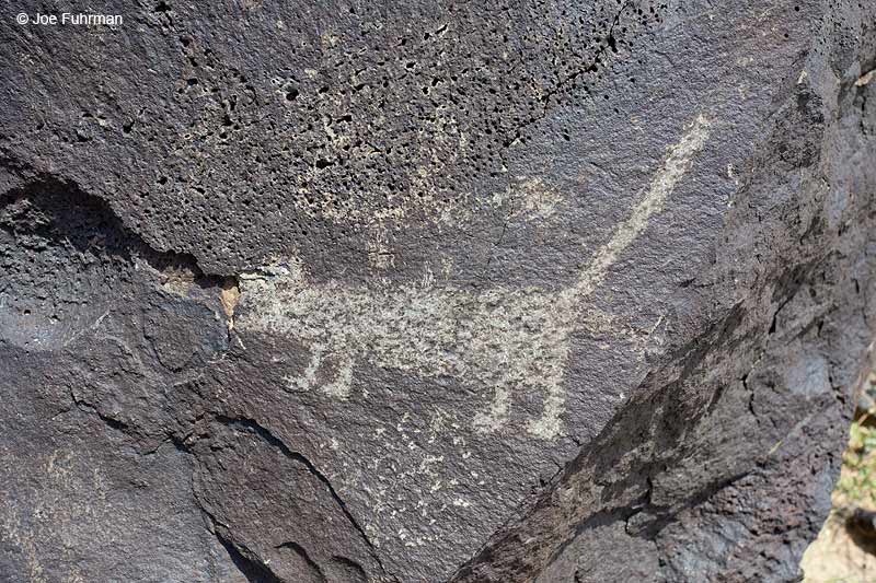 Petroglyph National Monument, N.M. August 2013