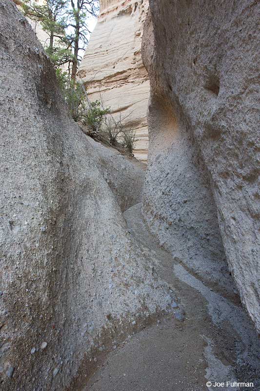 Slot Canyon Kasha-Katuwe Tent Rocks National Monument, NM August 2013