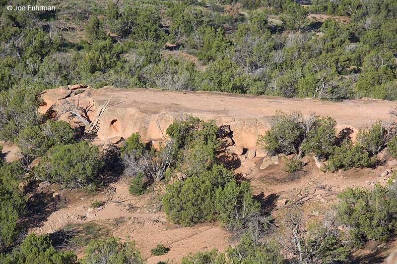 Tsankawi section-Bandelier National Monument, N.M. August 2013