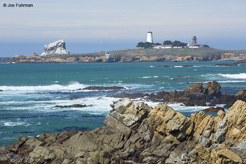 Point Piedras Blancas Lighthouse San Luis Obispo Co., CA March 2014