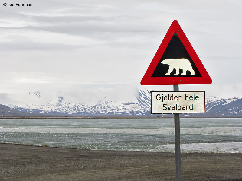Longyearbyen-Svalbard, Norway June 2008