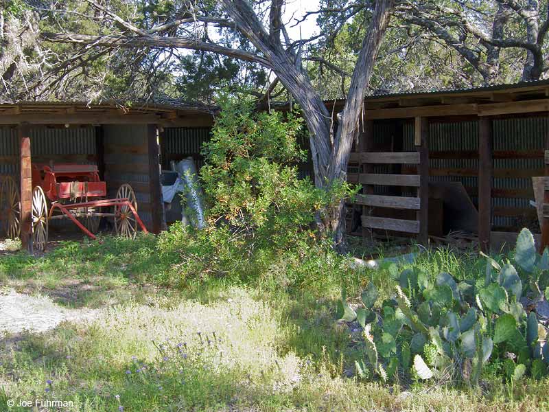 Las Madrones Ranch Travis Co., TX    April 2012
