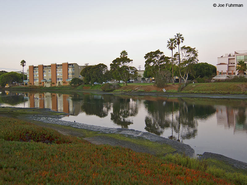 Del Rey Lagoon Park Playa del Rey, CA August 2012