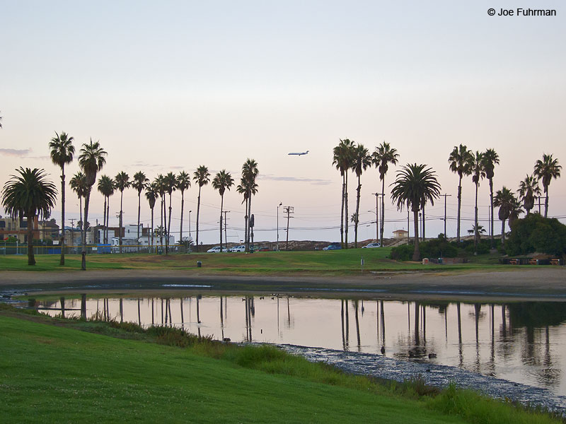 Del Rey Lagoon Park Playa del Rey, CA August 2012