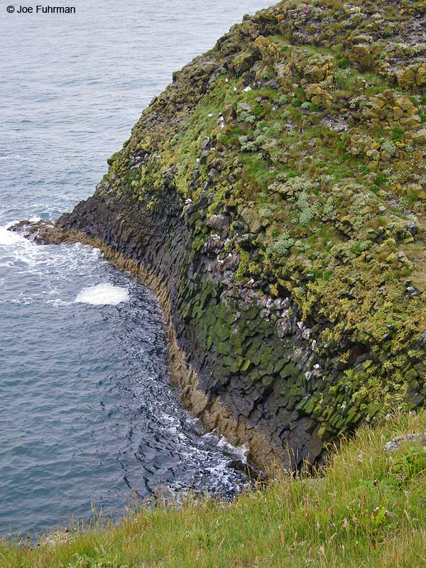 Sea stack & basalt column Iceland   July 2013