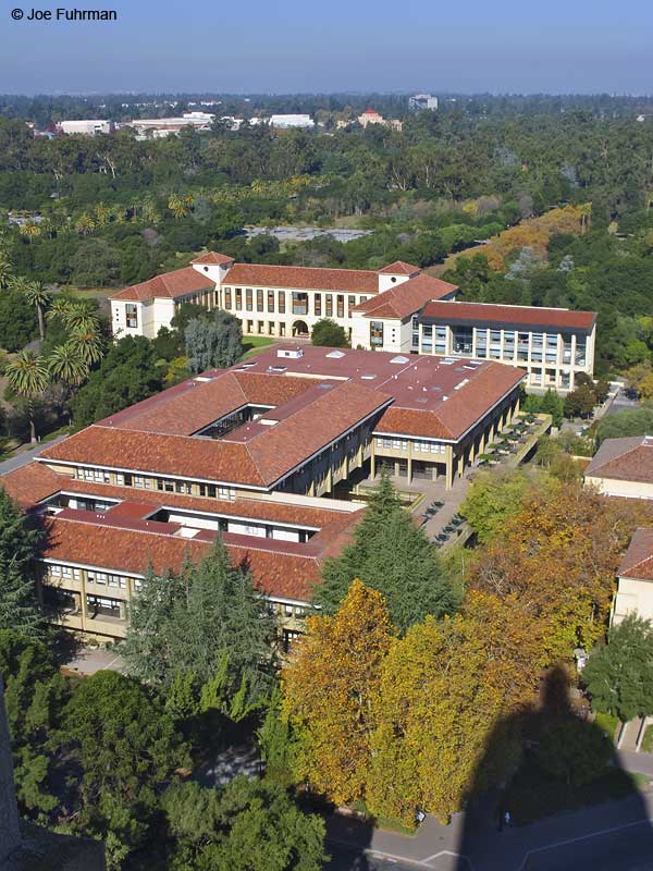 Stanford University Palo Alto, CA November 2008