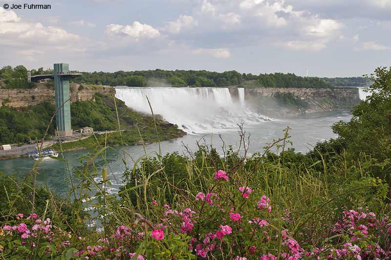 Niagara Falls, Ont., Canada    July 2007