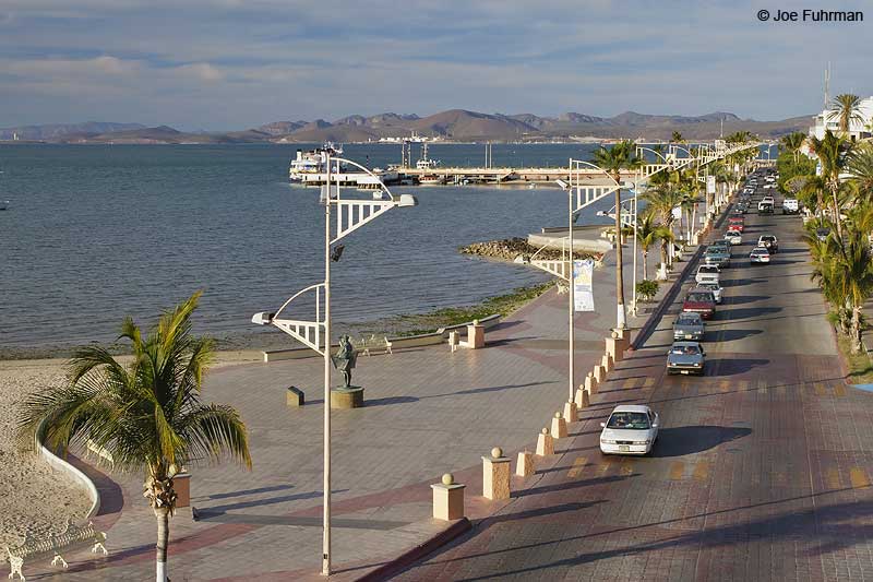 Malecon-La Paz, Baja Sur, Mexico February 2008