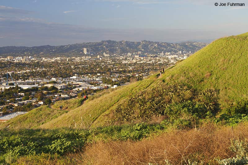 Baldwin Hills Scenic Overlook L.A. Co., CA January 2010