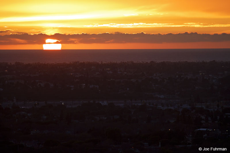 Baldwin Hills Scenic Overlook L.A. Co., CA January 2010