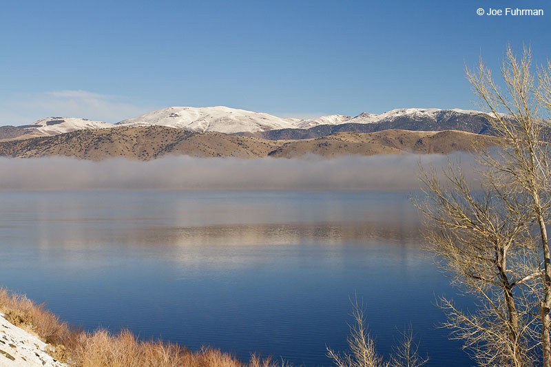 Topaz Lake Mono Co., CA   Jan. 2011