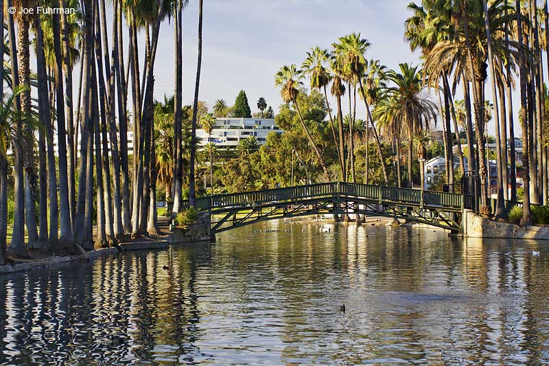 Echo ParkL.A. Co., CA December 2009