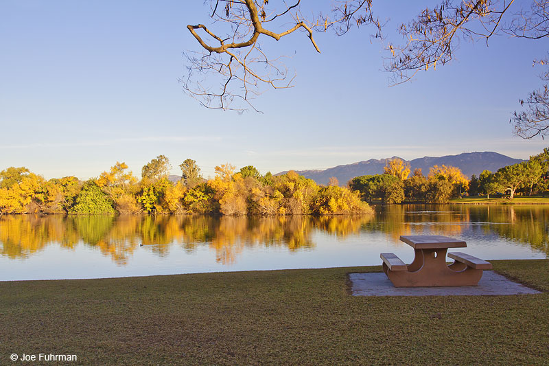 Legg Lake-Whittier Narrows-So. El Monte L.A. Co., CA December 2009