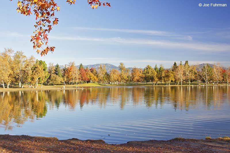 Legg Lake-Whittier Narrows-So. El Monte L.A. Co., CA December 2009