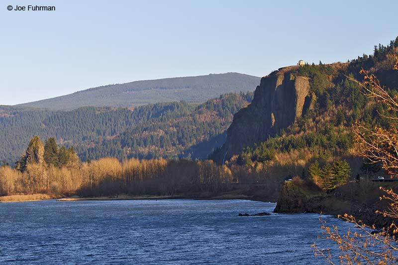 Columbia River Gorge Multnomah Co., OR   February 2010