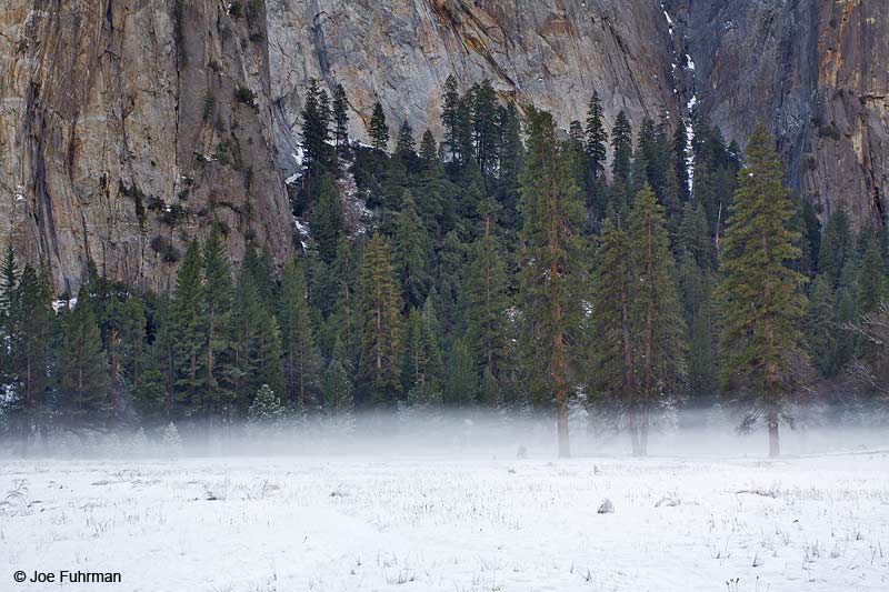 El Capitan Meadow-Yosemite N.P. Mariposa Co., CA December 2009