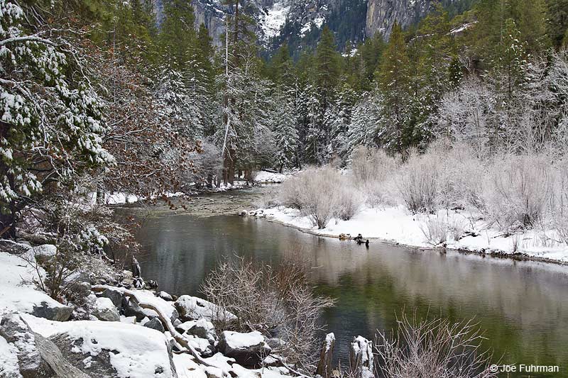 Merced River-Yosemite National Park Mariposa Co., CA December 2009
