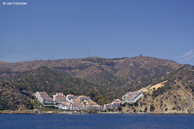 Avalon-Santa Catalina Island L.A. Co., CA July 2009