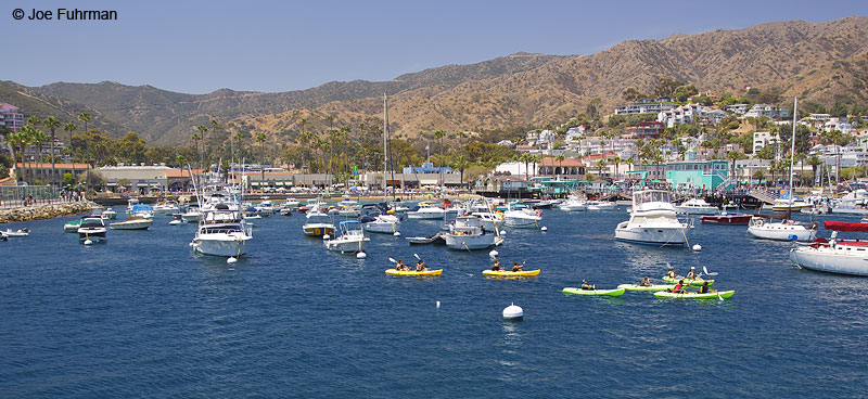 Avalon-Santa Catalina Island L.A. Co., CA July 2009