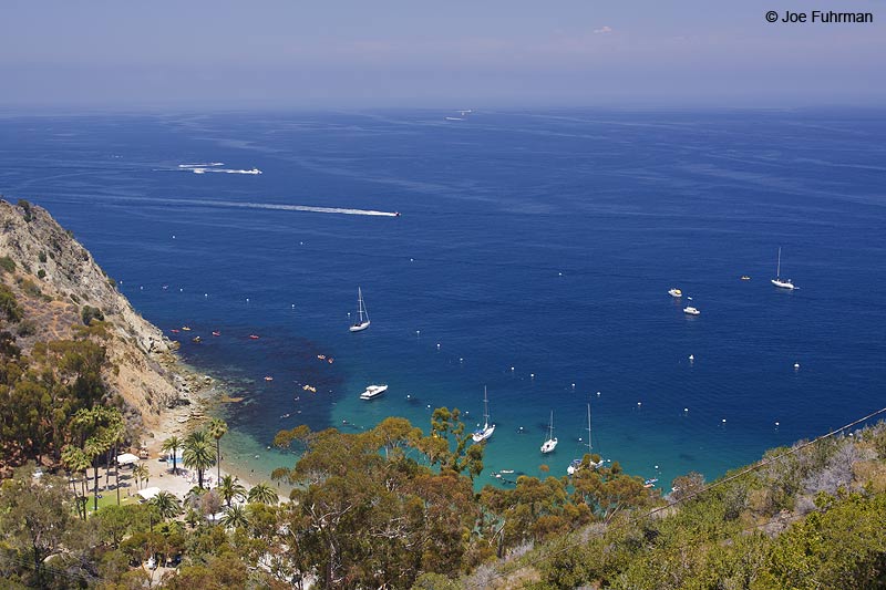 Descanco Beach-Santa Catalina Island L.A. Co., CA July 2009