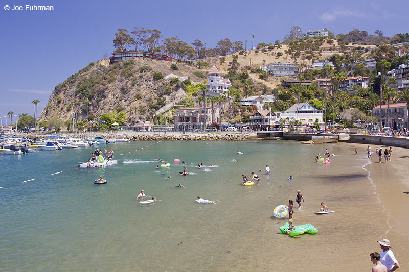 Avalon-Santa Catalina Island L.A. Co., CA July 2009