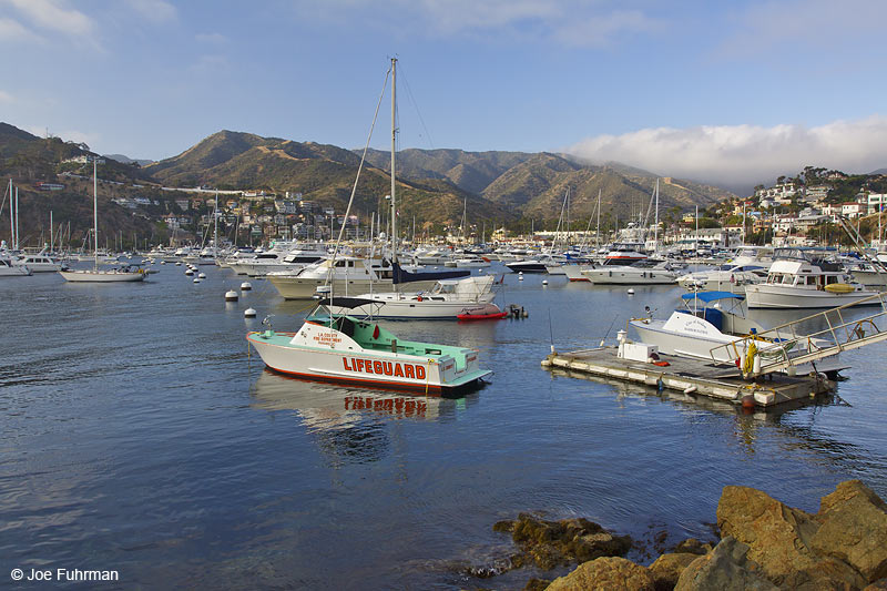 Avalon-Santa Catalina Island L.A. Co., CA July 2009