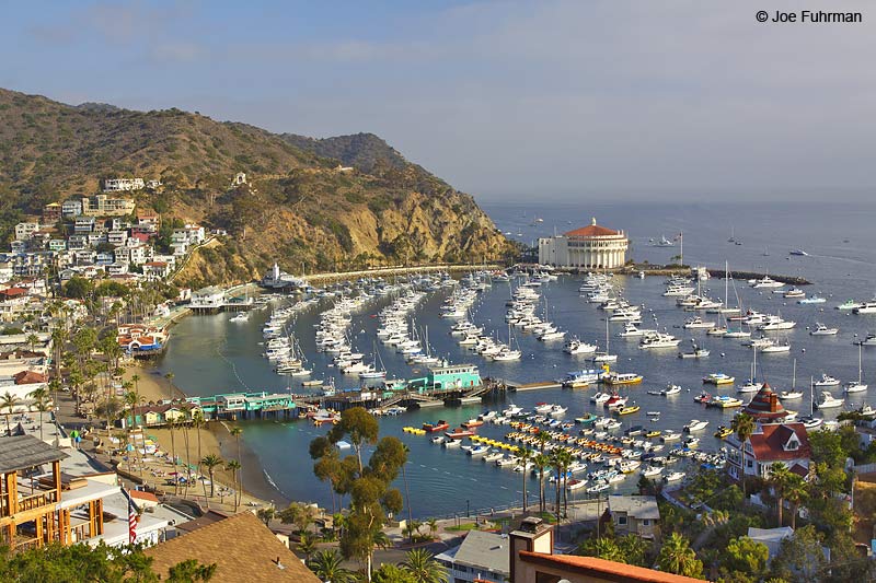 Avalon-Santa Catalina Island L.A. Co., CA July 2009