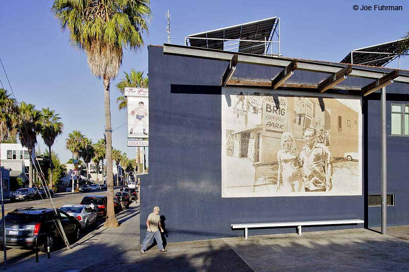 Mural Venice, CA Oct. 2012