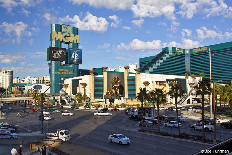 Las Vegas Clark Co., NV January 2010