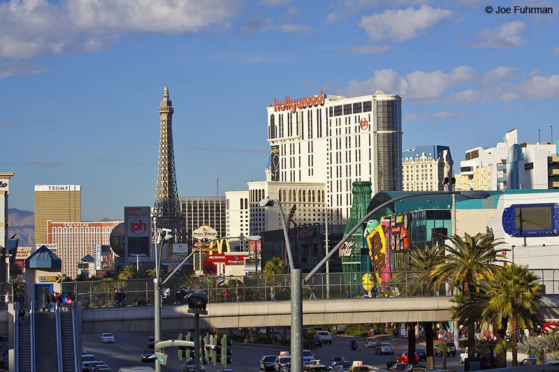 Las Vegas Clark Co., NV January 2010