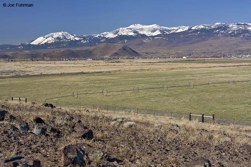 View of East Truckee Meadows & Mt. RoseReno, NV   March 2009