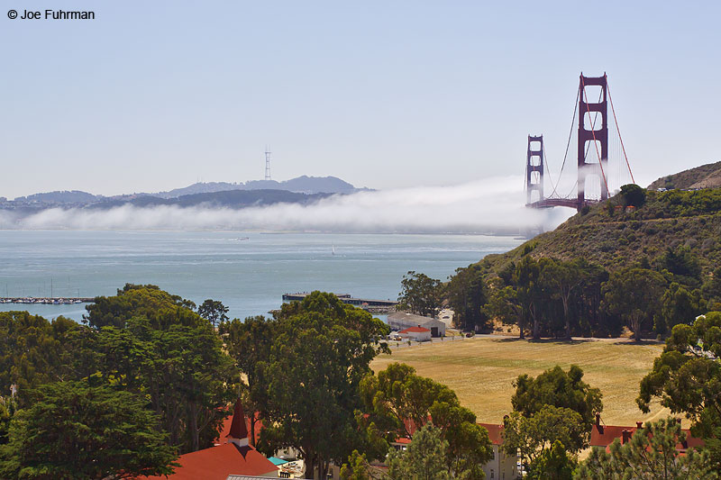 Golden Gate Bridge-view from Marin Co. San Francisco, CA August 2009