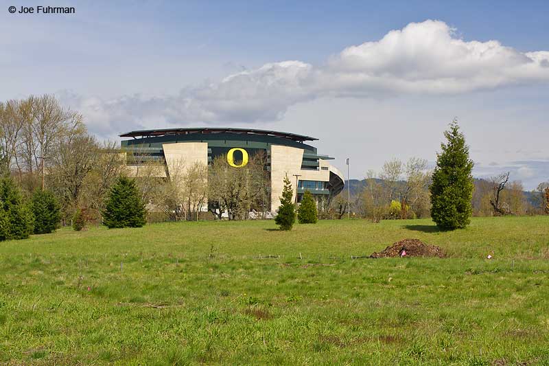 Autzen Stadium, University of Oregon Eugene, OR March 2009