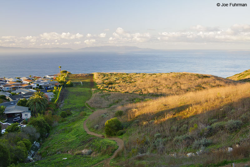 View of Catalina from Rancho Palos Verdes. L.A. Co., CA February 2009