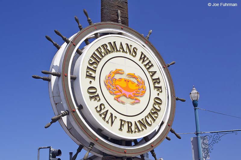 Fisherman's Wharf San Francisco, CA August 2009