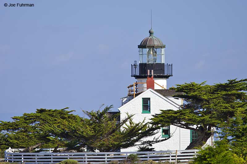 Pt. Pinos Lighthouse Pacific Grove, CA Nov. 2012