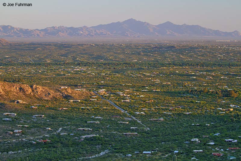 View of Tucson from Catalina Hwy. Pima Co., AZ May 2010