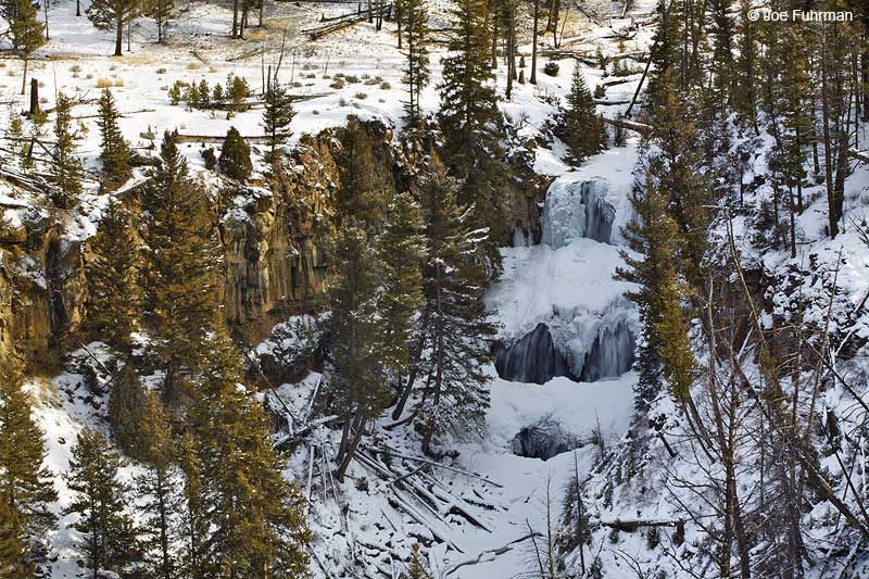 Udine Falls Park Co., WY-Yellowstone National Park Jan. 2010