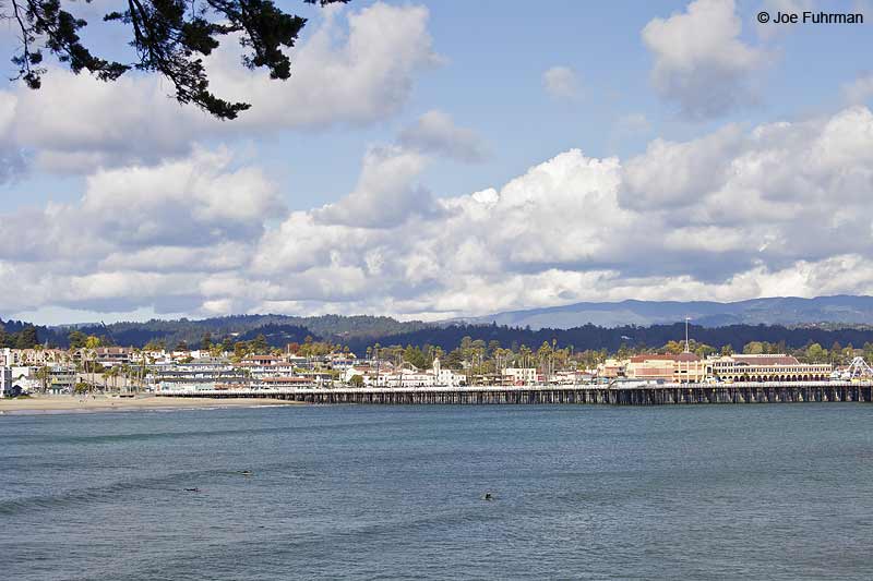 Municipal Wharf Santa Cruz, CA Nov. 2012