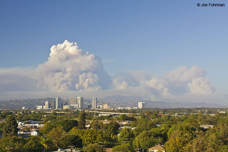 Forest fire view from Mar Vista Hill L.A. Co., CA August 2009