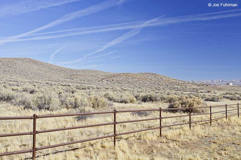 Carizzo Plain National Monument, CA Nov. 2012