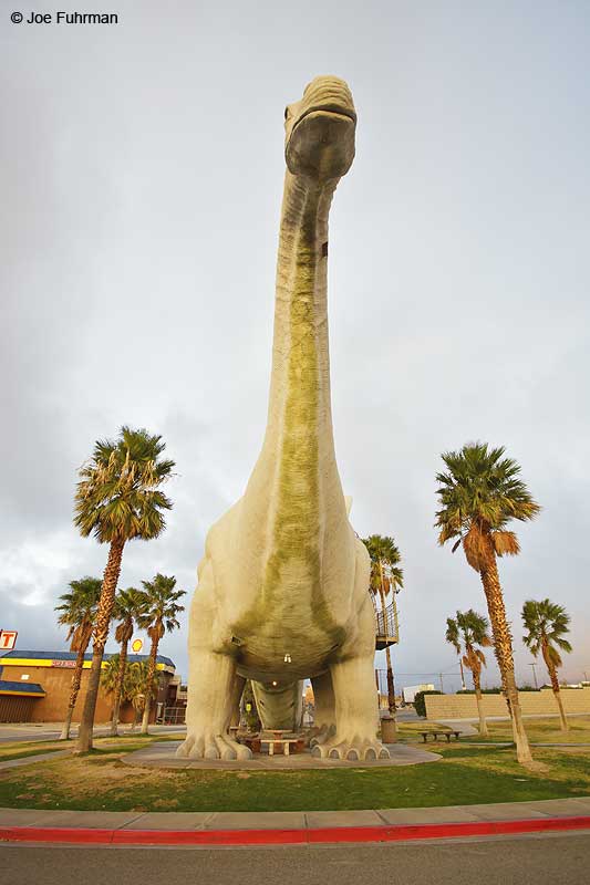 World's Biggest Dinosaurs Museum Cabazon, CA Nov. 2012