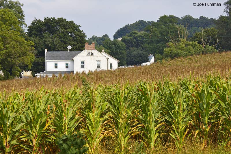 Amish Farm Lancaster Co., PA September 2009