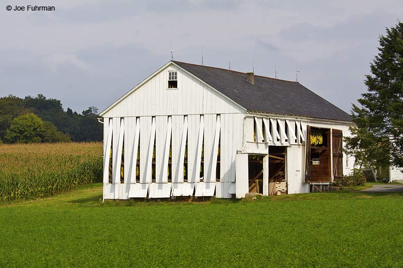 Amish Farm Lancaster Co., PA September 2009
