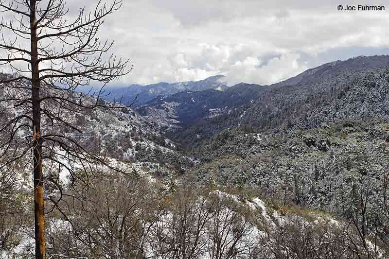 San Gabriel Mtns.Angeles National Forest, CA De.c 2012