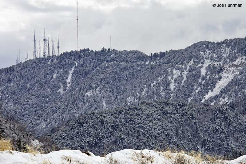 San Gabriel Mtns.-Mt. WilsonAngeles National Forest, CA De.c 2012