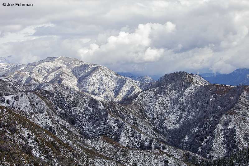 San Gabriel Mtns.Angeles National Forest, CA De.c 2012