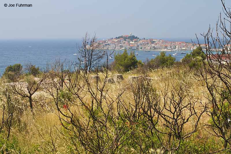 View of Adriatic Sea just north of Split, Croatia. July 2010